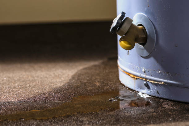 Best Flood restoration services  in Verandah, FL