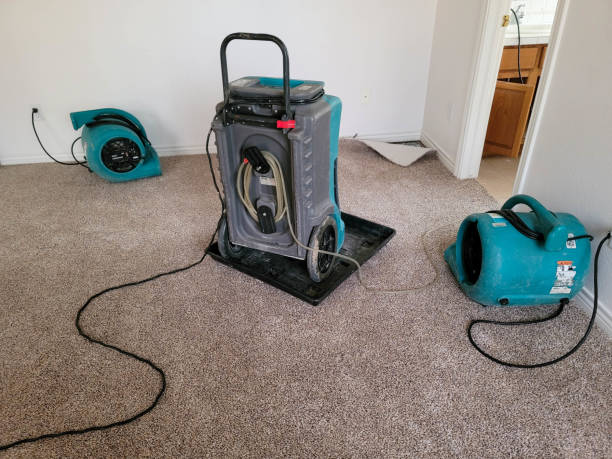 Best Emergency water damage restoration  in Verandah, FL