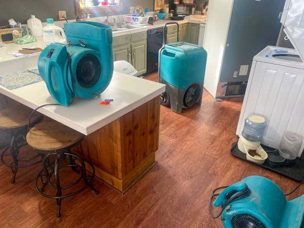 Best Water damage restoration mold remediation  in Verandah, FL
