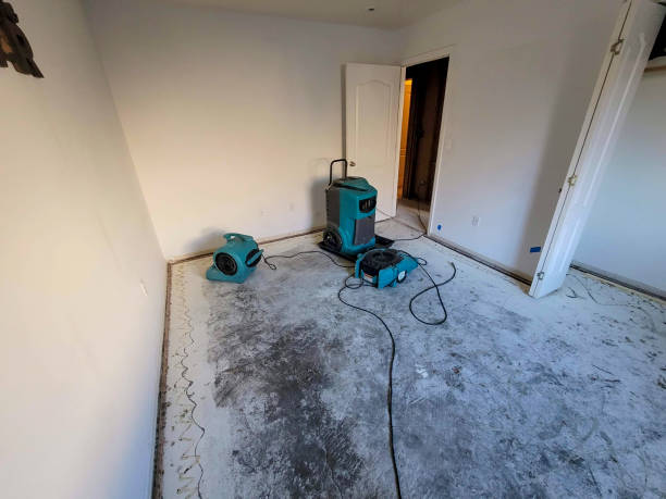 Best Water damage restoration insurance claims  in Verandah, FL
