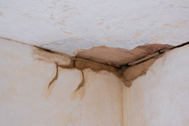 Best Water damage cleanup near me  in Verandah, FL