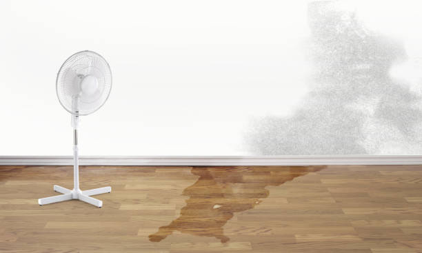 Best Flooded house restoration  in Verandah, FL