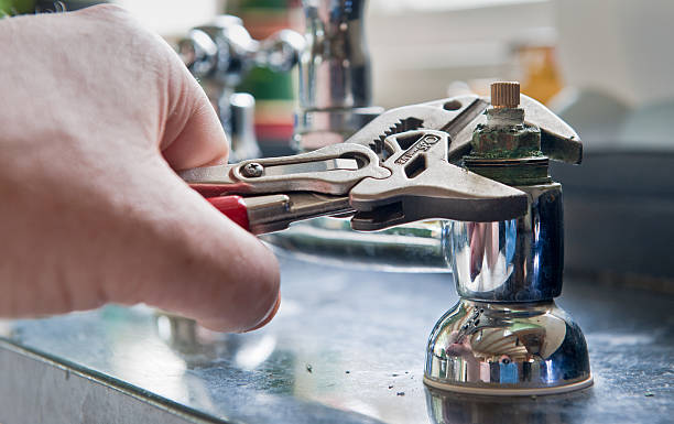 Best Professional water damage repair  in Verandah, FL