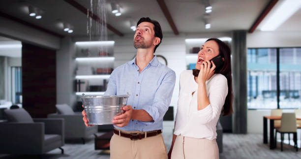 Best Professional water damage repair  in Verandah, FL