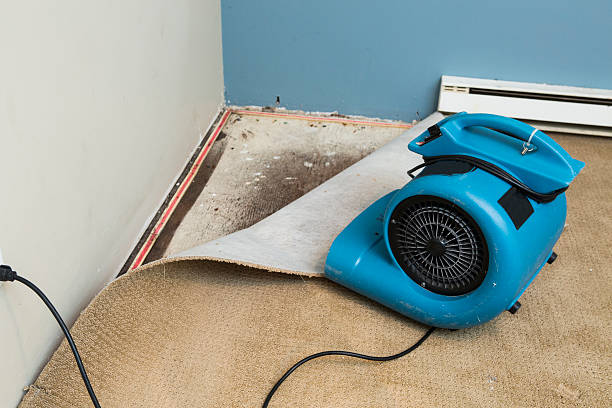 Best Water damage restoration near me  in Verandah, FL